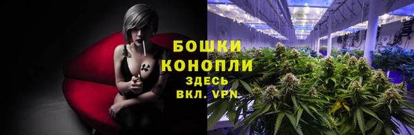 крисы Михайловск