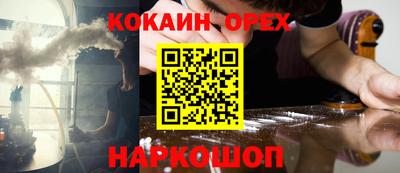 наркотики Кингисепп