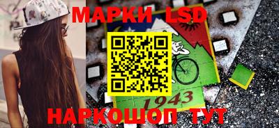 стафф Будённовск