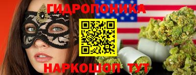 трава Кимры