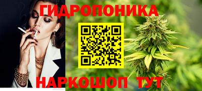 наркотики Кингисепп