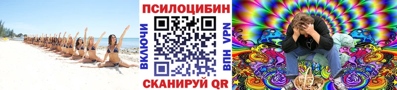 mega   Дятьково  Псилоцибиновые грибы Magic Shrooms 