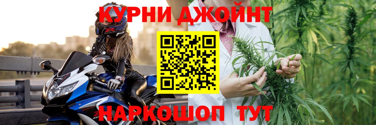 Каннабис OG Kush Дятьково